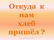 Презентация по биологии на тему Откуда к нам хлеб пришёл (81класс)