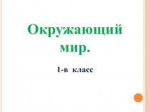 Окружающий мир. Когда появиласьодежда? 1 класс