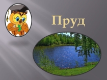 Пруд