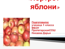 Презентация к выступлению на Дне науки