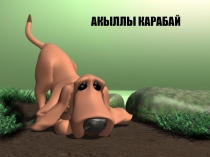 Презентация по татарскому языку. 5 класс
