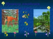 Презентация по окружающему миру Правила поведения в лесу