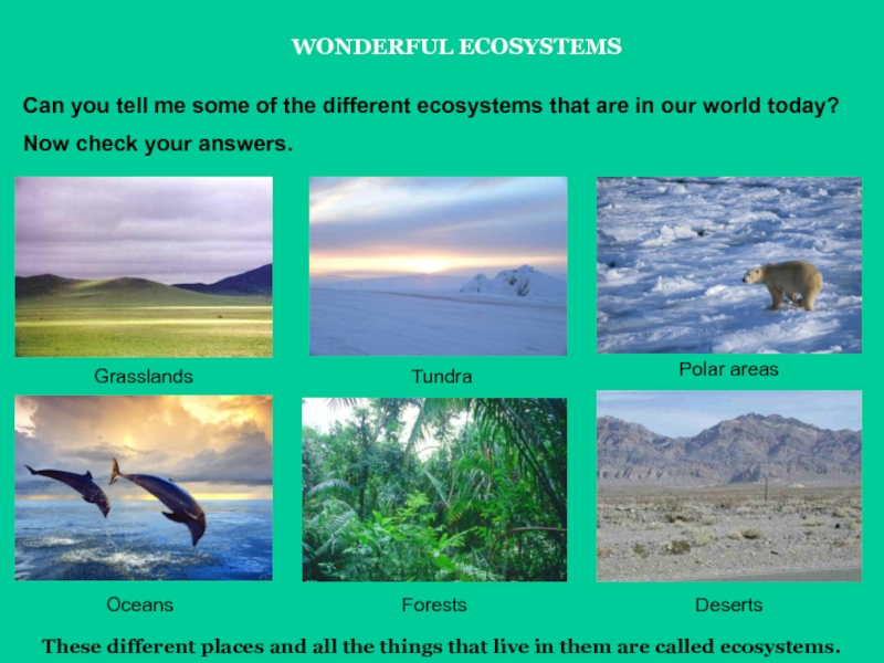 Презентация для 7 класса по английскому языку Цепи питания WONDERFUL ECOSYSTEMSThese different places and all the things that live in WONDERFUL ECOSYSTEMSThese different places and all the things that live in them are called ecosystems.Can you tell