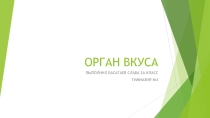 Сообщение на тему Орган вкуса