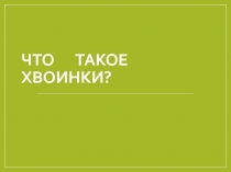 Урок окружающего мира в 1 классе. Что такое хвоинки