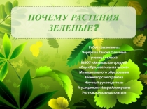 Презентация Почему растения зеленые