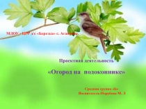 Проект Огород на подоконнике