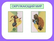 Что вокруг нас может быть опасным?