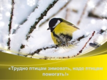 Презентация Трудно птицам зимовать, будем птицам помогать.