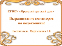Презентация Выращивание помидоров на подоконнике в зимний период