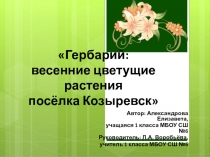 Гербарий: Весенние цветущие растения посёлка Козыревск