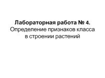 Презентация по биологии на тему Лаб.раб. №4 (6 класс)