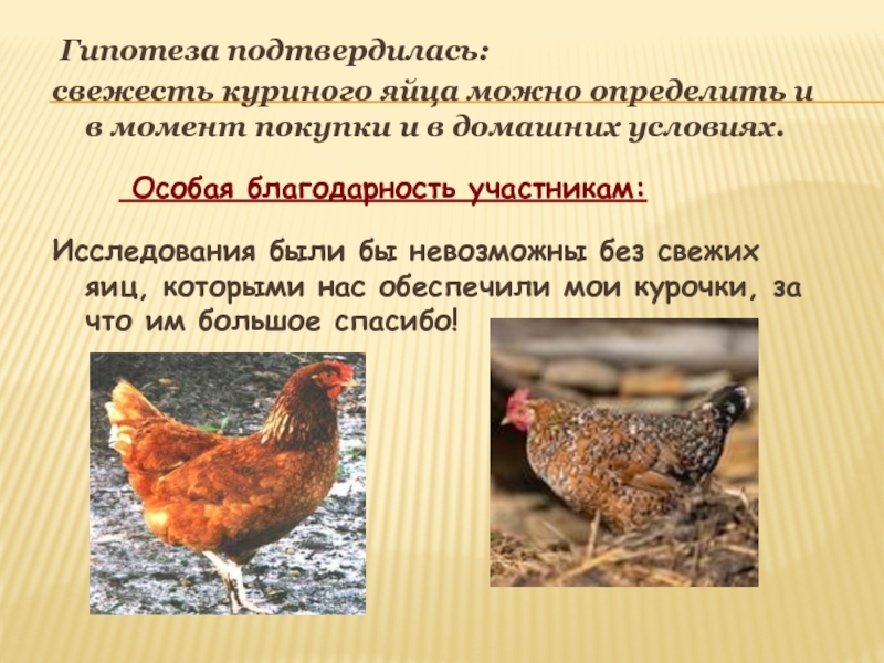 Исследовательская работа и презентация Определение свежести куриных яиц Гипотеза подтвердилась:свежесть куриного яйца можно определить и в момент покупки Гипотеза подтвердилась:свежесть куриного яйца можно определить и в момент покупки и в домашних условиях.Исследования были бы