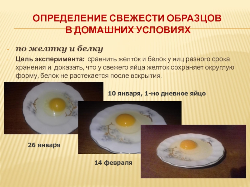 Исследовательская работа и презентация Определение свежести куриных яиц определениЕ свежести образцов В домашних условияхпо желтку и белкуЦель эксперимента: сравнить определениЕ свежести образцов В домашних условияхпо желтку и белкуЦель эксперимента: сравнить желток и белок у яиц