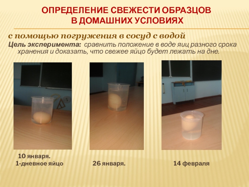 Исследовательская работа и презентация Определение свежести куриных яиц определениЕ свежести образцов В домашних условиях с помощью погружения в сосуд определениЕ свежести образцов В домашних условиях с помощью погружения в сосуд с водойЦель эксперимента: сравнить положение
