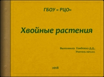 Презентация к уроку окружающего мира Растения зимой. Хвойные растения