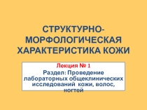 Презентация по МДК 01.01 Теория и практика лабораторных общеклинических исследований на тему Структурно-морфологическая характеристика кожи