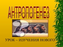 Презентация по биологии на тему: Антропогенез (11 класс)