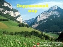 Презентация по окружающему миру на тему Горные экосистемы