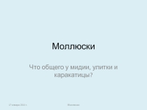 Презентация к уроку Тип Моллюски