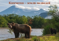 Презентация по географии на тему Камчатка - земля медведей (8 класс)