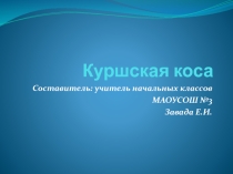Презентация Куршская коса для внеурочной деятельности по окружающему миру