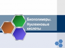 Биополимеры. Нуклеиновые кислоты