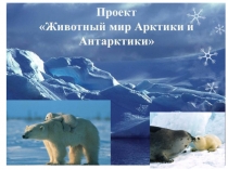 Презентация по познавательному развитию в подготовительной группе. Тема Животный мир Арктики и Антарктики
