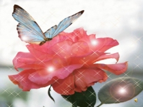 ПРЕЗЕНТАЦИИ К ПРАЗДНИКУ ЦВЕТОВ бабочки 1