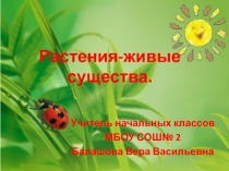 Презентация по окружающему миру на тему: Растения