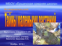 Исследовательский проект Тайны маленьких растений растения, произрастающие на экологической тропе