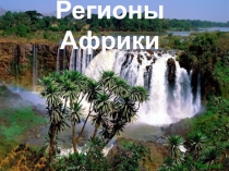 Презентация Регионы Африки, 11 класс