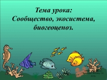 Презентация по биологии на тему Сообщество, экосистема, биогеоценоз 9 класс