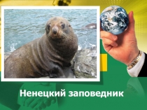 Ненецкий заповедник