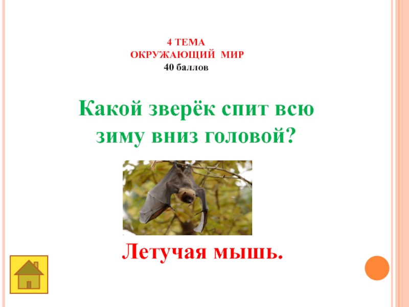 Земля -наш общий дом 4 ТЕМА ОКРУЖАЮЩИЙ МИР40 баллов Какой зверёк спит всю зиму вниз головой? Летучая мышь. 4 ТЕМА ОКРУЖАЮЩИЙ МИР40 баллов Какой зверёк спит всю зиму вниз головой? Летучая мышь.