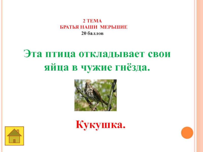 Земля -наш общий дом 2 ТЕМАБРАТЬЯ НАШИ МЕРЬШИЕ20 баллов Эта птица откладывает свои яйца в чужие гнёзда. Кукушка. 2 ТЕМАБРАТЬЯ НАШИ МЕРЬШИЕ20 баллов Эта птица откладывает свои яйца в чужие гнёзда. Кукушка.