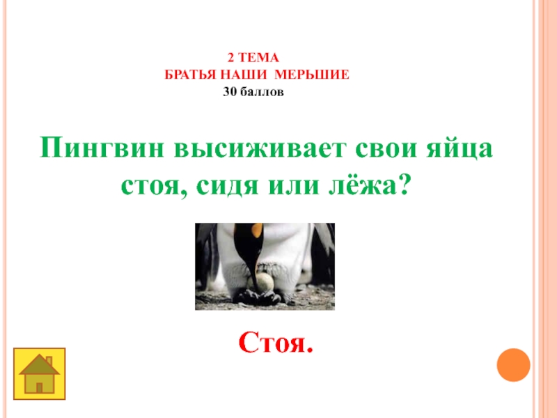 Земля -наш общий дом 2 ТЕМАБРАТЬЯ НАШИ МЕРЬШИЕ30 баллов Пингвин высиживает свои яйцастоя, сидя или лёжа? Стоя. 2 ТЕМАБРАТЬЯ НАШИ МЕРЬШИЕ30 баллов Пингвин высиживает свои яйцастоя, сидя или лёжа? Стоя.
