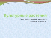 Презентация по уроку познание мира Культурные растения (2 класс)