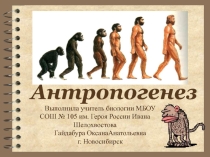 Презентация по биологии Антропогенез (11 класс)