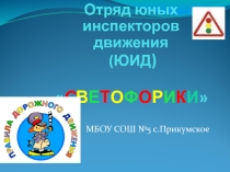 История создания ЮИД в школе