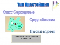 Презентация по биологии на тему Простейшие