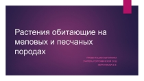 Урок на тему Растения обитающие на меловых и песчаных породах
