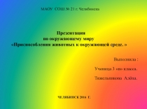 Презентация по окружающему миру ученицы 3 ВклассаМАОУ СОШ№21 г. ЧелябинскаТяжельниковой Алёны на тему Кто как приспособился