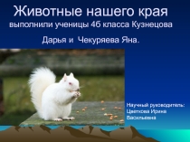 Презентация к уроку окружающего мира Животные нашего края