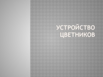 Презентация по цветоводству и декоративному древоводству на тему  Устройство цветников