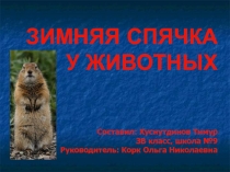 Проектно-исследовательская работа Зимняя спячка у животных