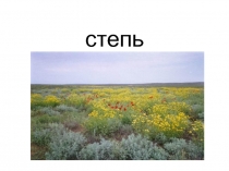 Презентация по окружающему миру на тему Степь 4 класс