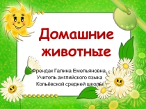 Презентация к уроку английского языка Домашние животные