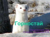 Презентация по окружающему миру на тему Забавные животные