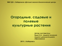 Презентация по окружающему миру по теме Огородные, садовые и полевые культурные растения